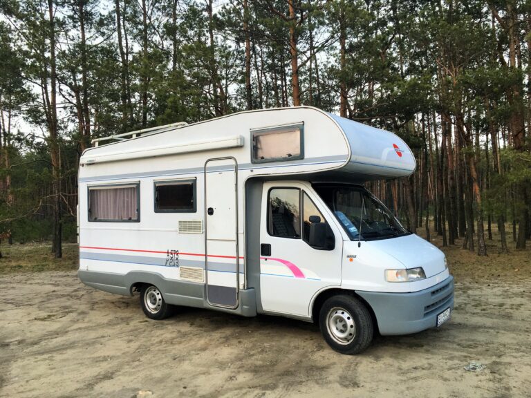 Zdjęcie Kampera Fiat Ducato II Burstner stojącego w lesie