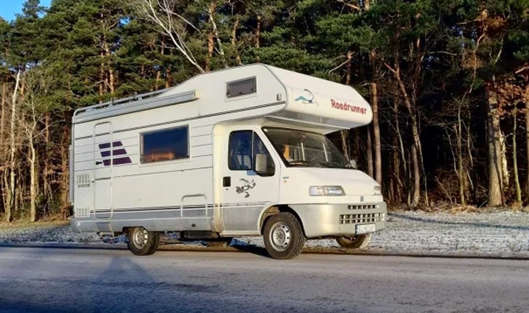 XKamper Fiat Ducato II Hymer Struś stojący na drodze w tle las iglasty