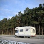 Kamper Fiat Ducato II Hymer Struś stojący na drodze w tle las iglasty