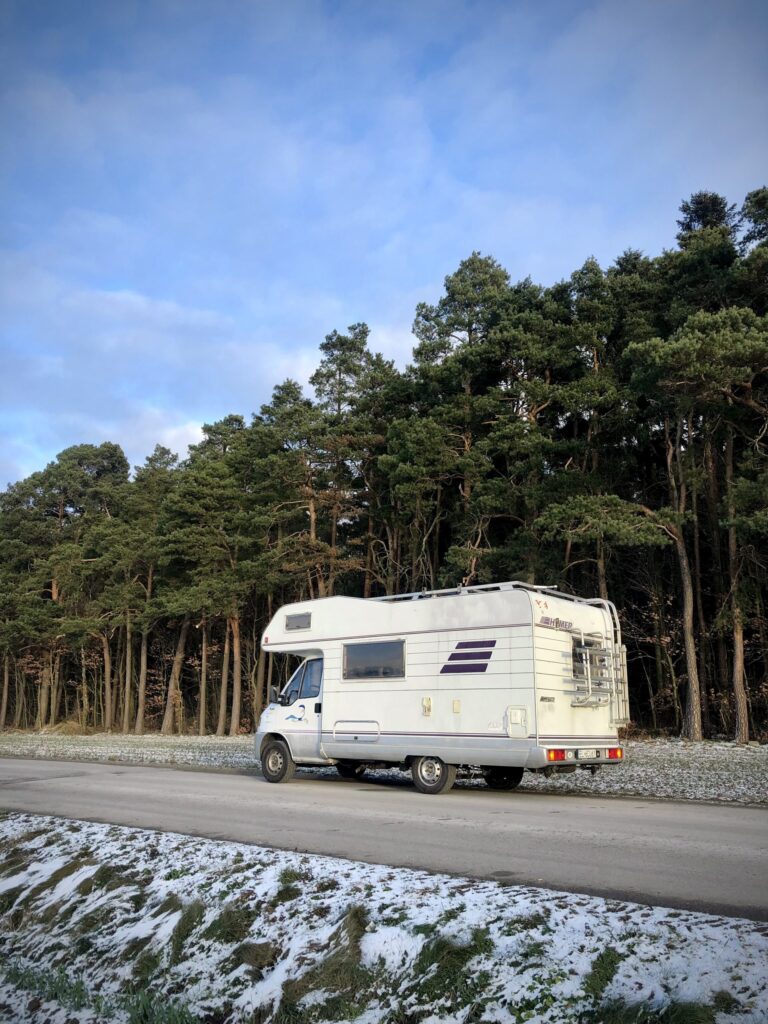 Kamper Fiat Ducato II Hymer Struś stojący na drodze w tle las iglasty