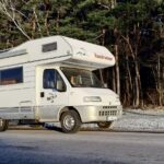 Kamper Fiat Ducato II Hymer Struś stojący na drodze w tle las iglasty