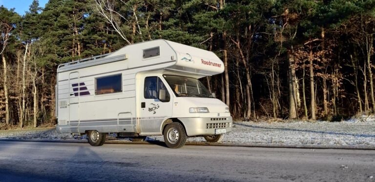 Kamper Fiat Ducato II Hymer Struś stojący na drodze w tle las iglasty